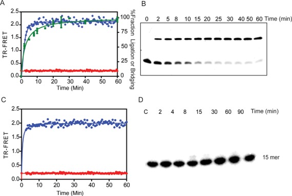 Figure 2.