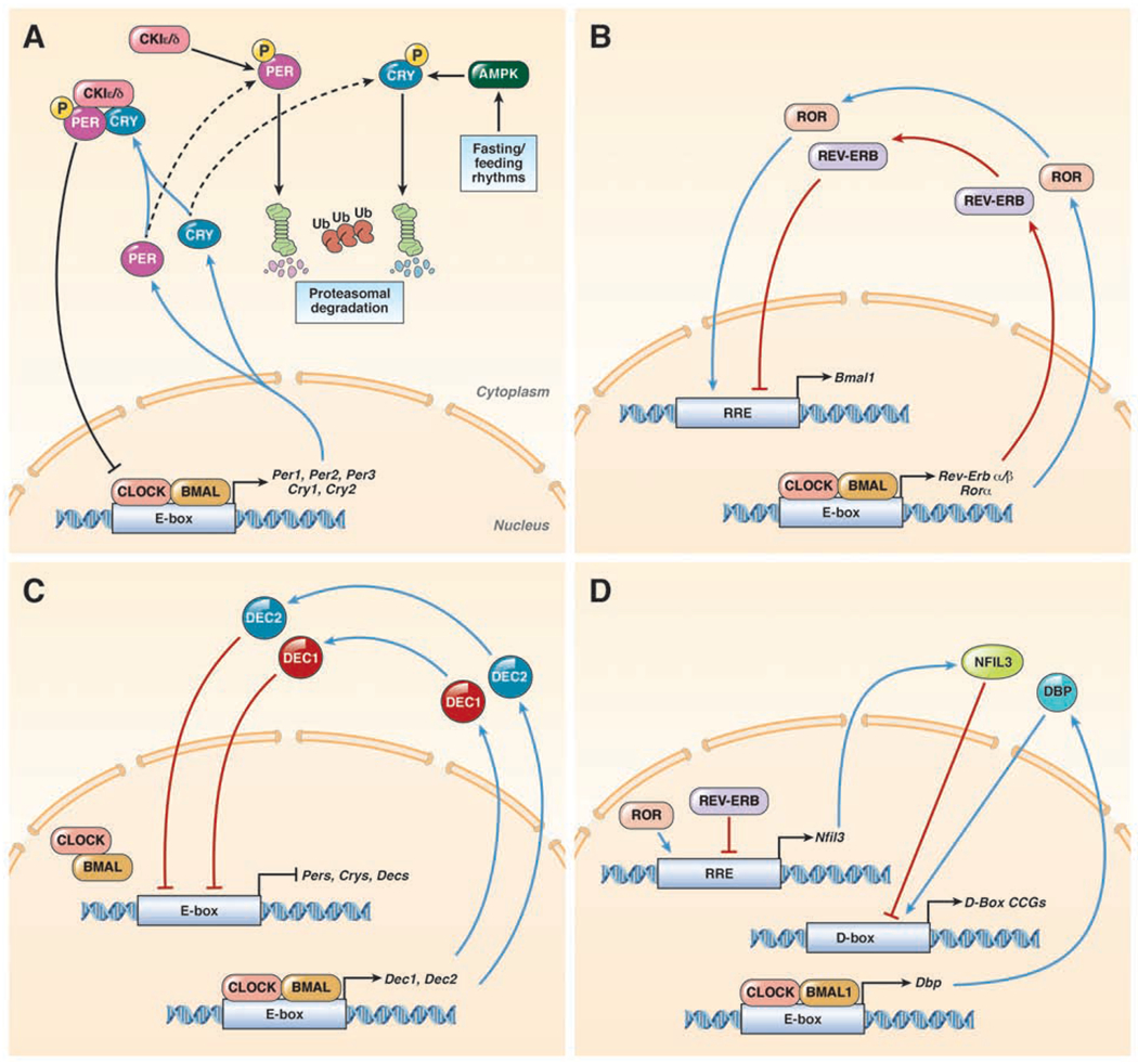 Figure 3: