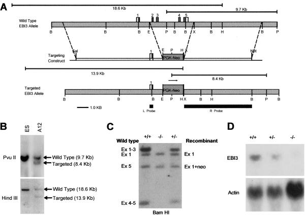 Fig 1.