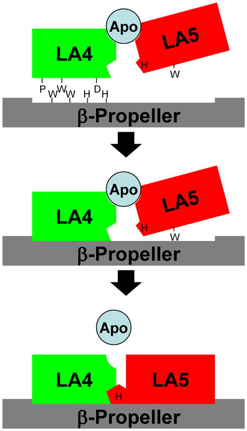 Fig. 8