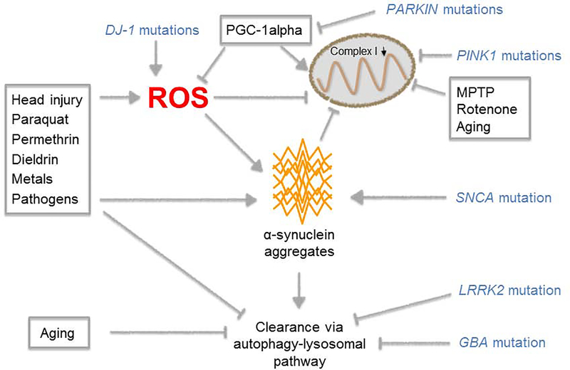 FIGURE 2: