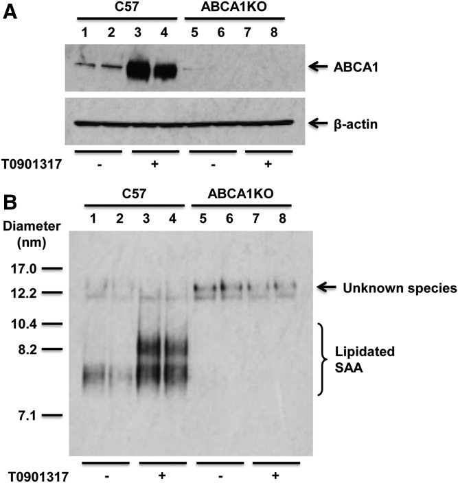 Fig. 5.