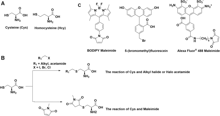 FIG. 2.