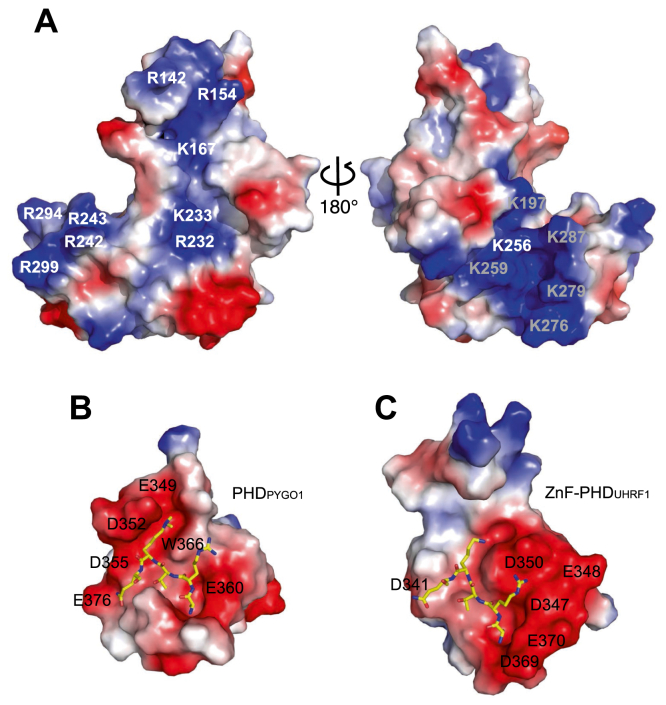 Figure 3