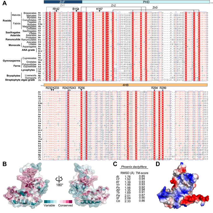 Figure 4