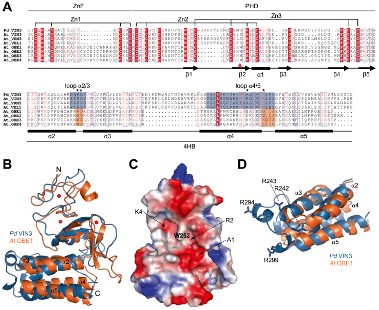 Figure 2