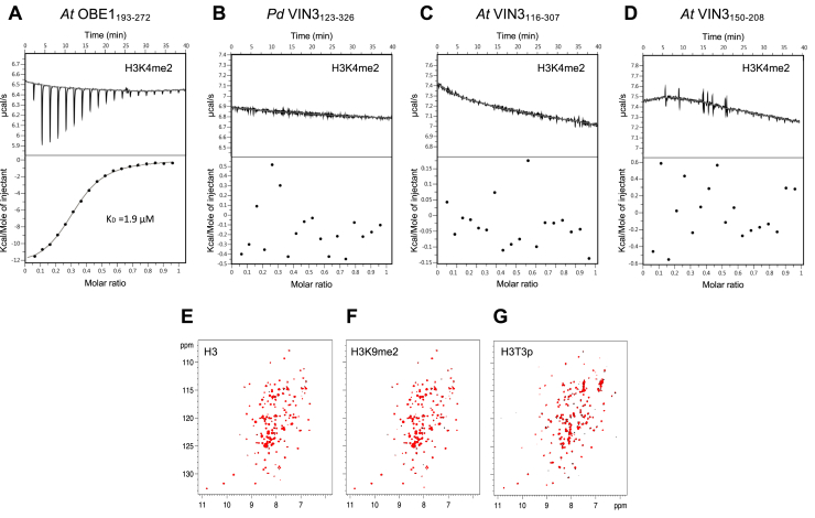 Figure 5