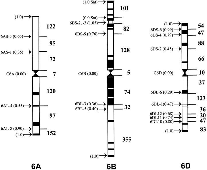 Figure 1.—