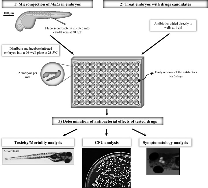 FIG 2