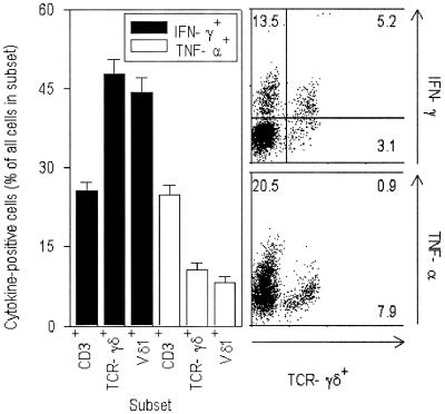 FIG. 6