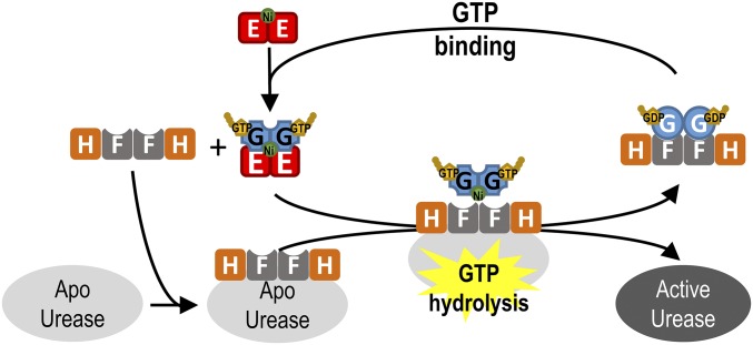 Fig. 6.