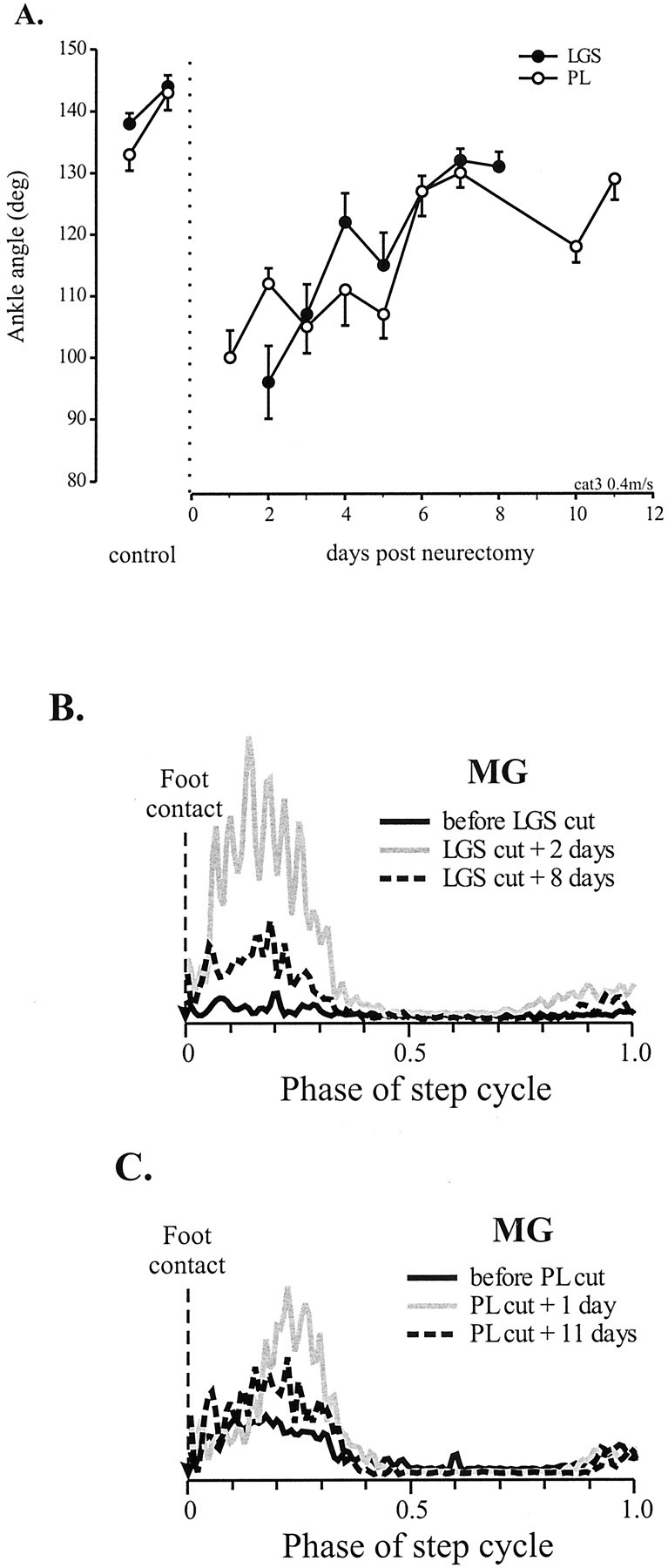 Fig. 8.