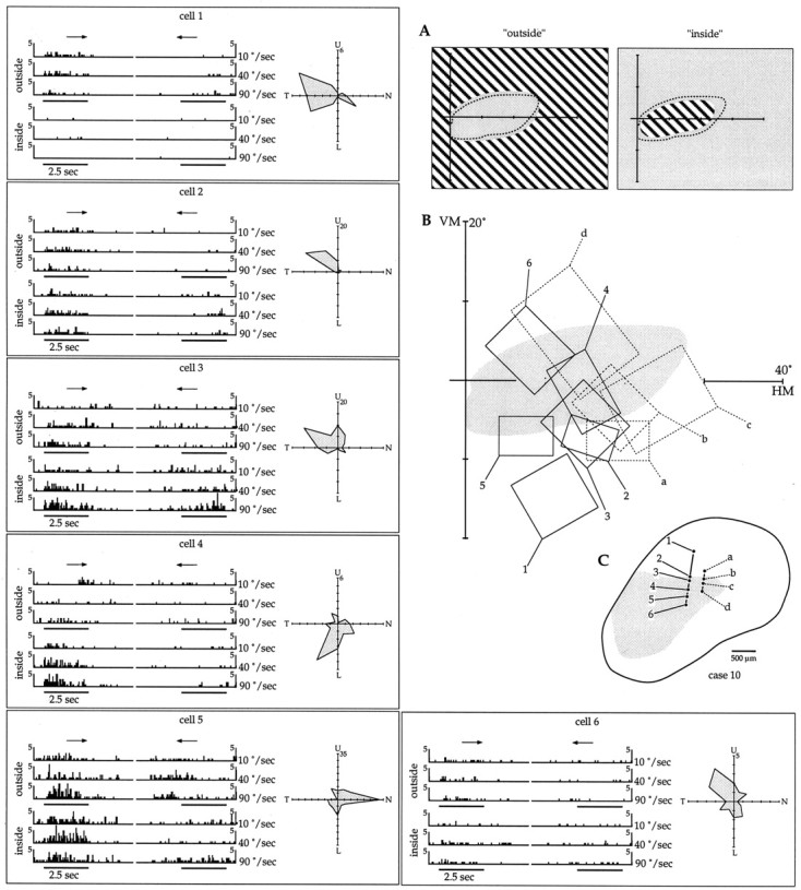 Fig. 9.