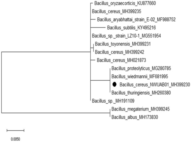 Figure 2