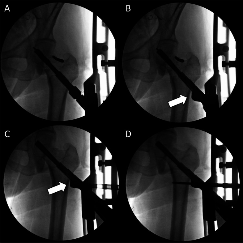 Fig. 8