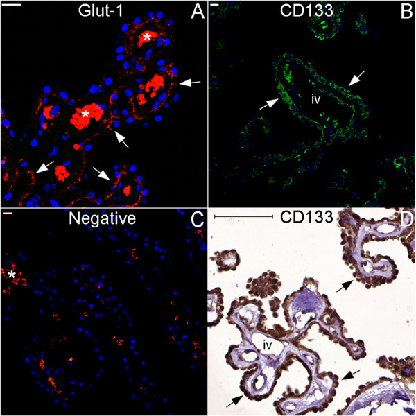 Figure 34