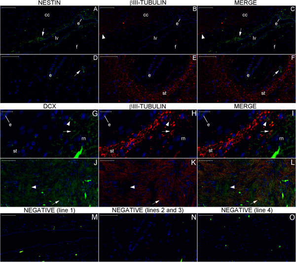 Figure 25