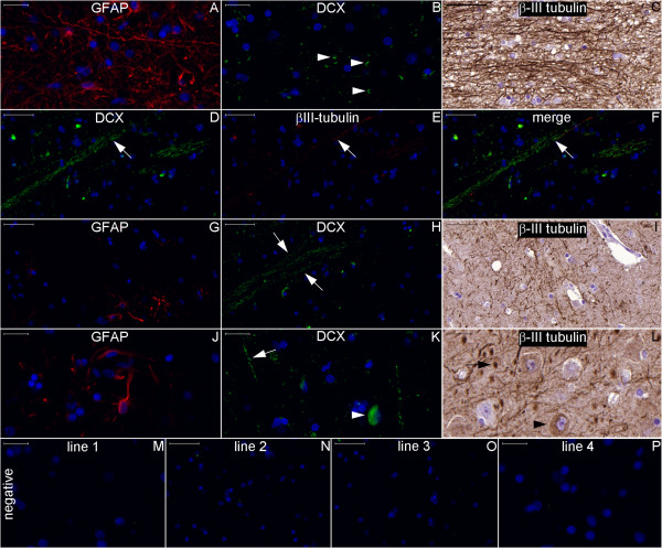 Figure 28