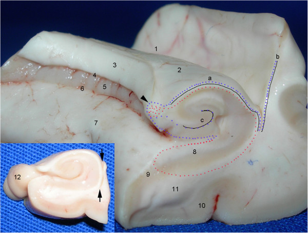 Figure 33