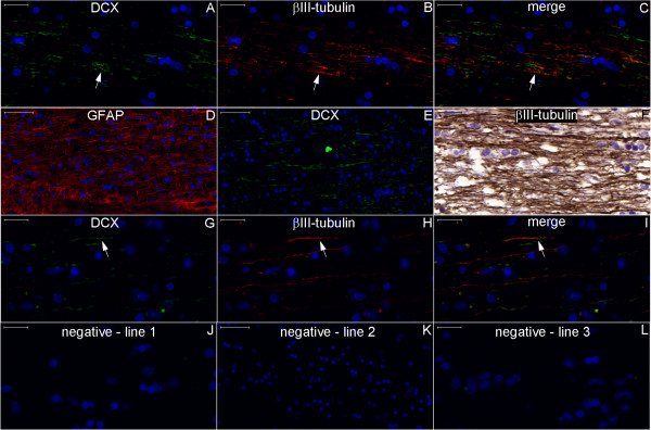 Figure 27