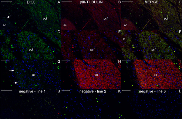 Figure 20