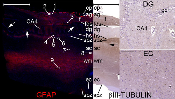 Figure 26