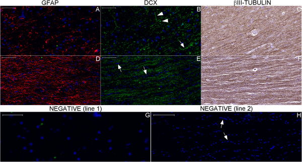 Figure 29