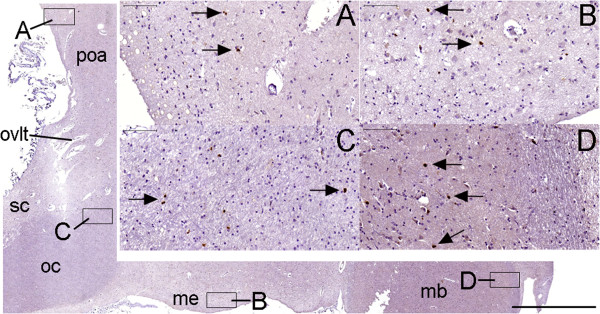 Figure 18