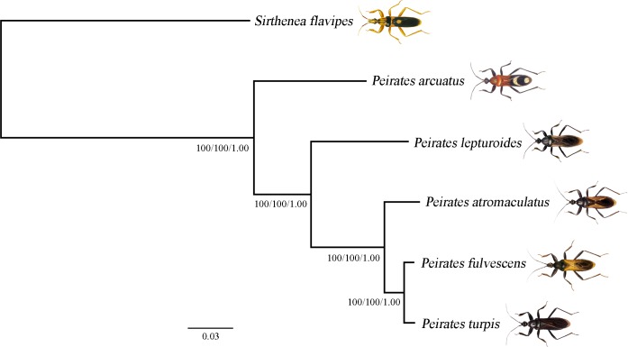 Fig 4