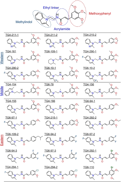 Fig. 3.