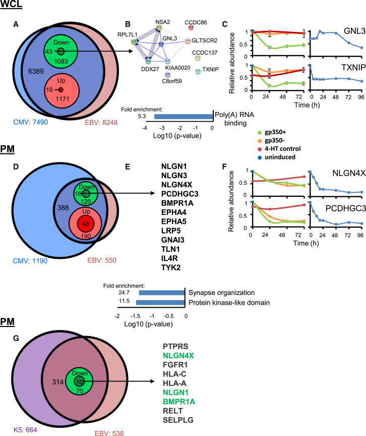 Figure 6