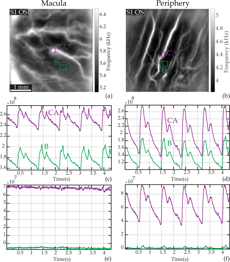 Fig. 6