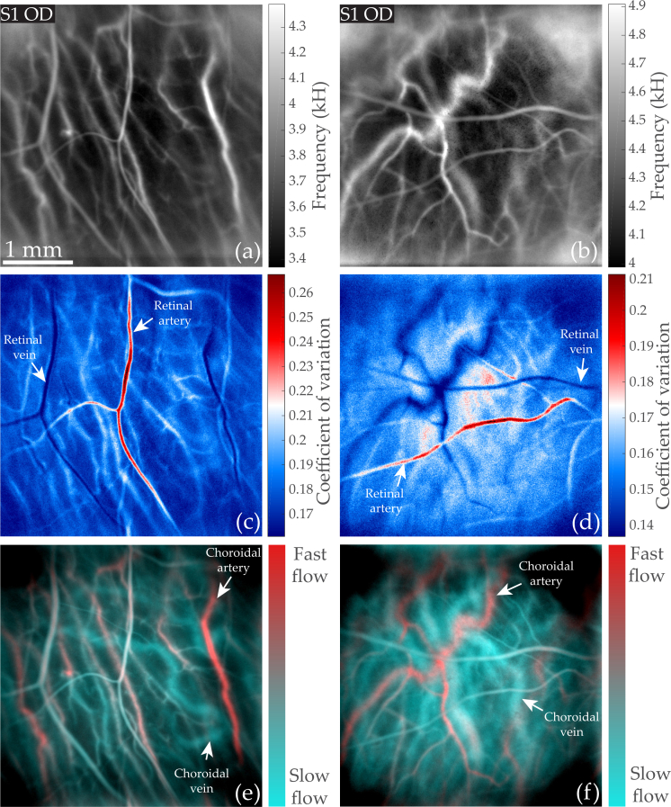 Fig. 9