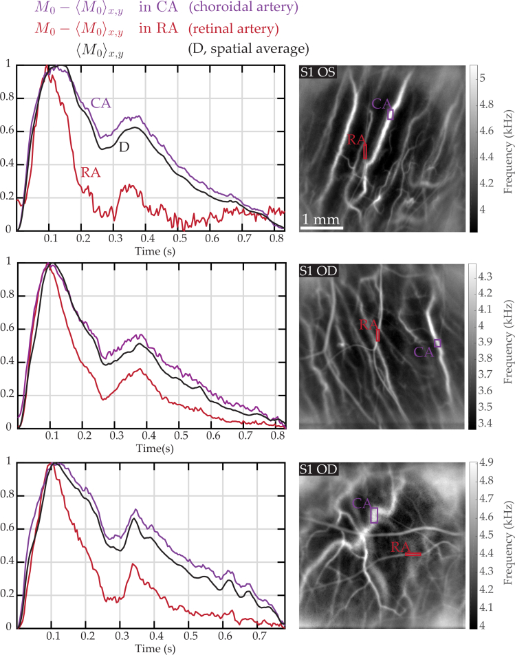 Fig. 8