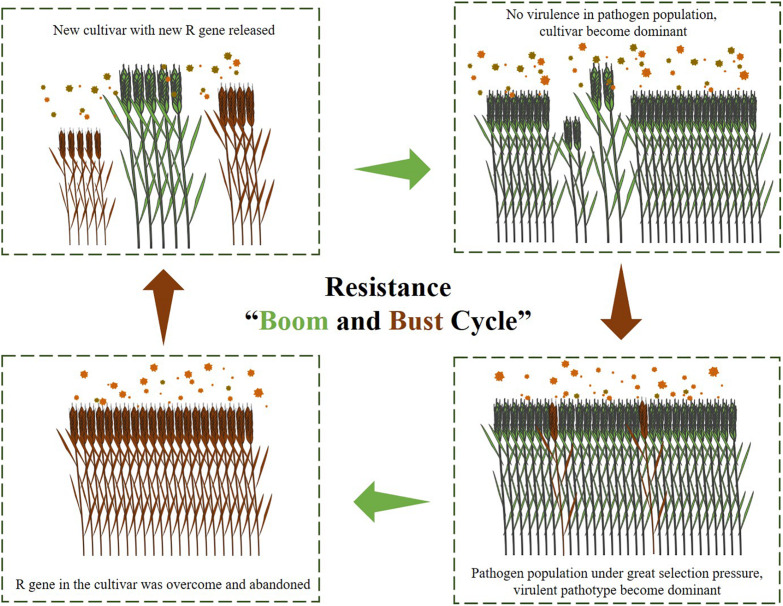 FIGURE 3