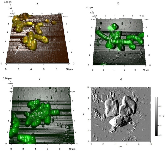 Figure 4