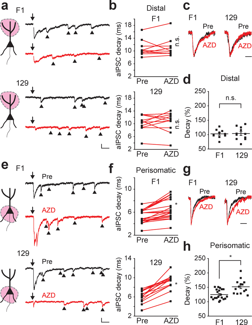 Figure 4 :