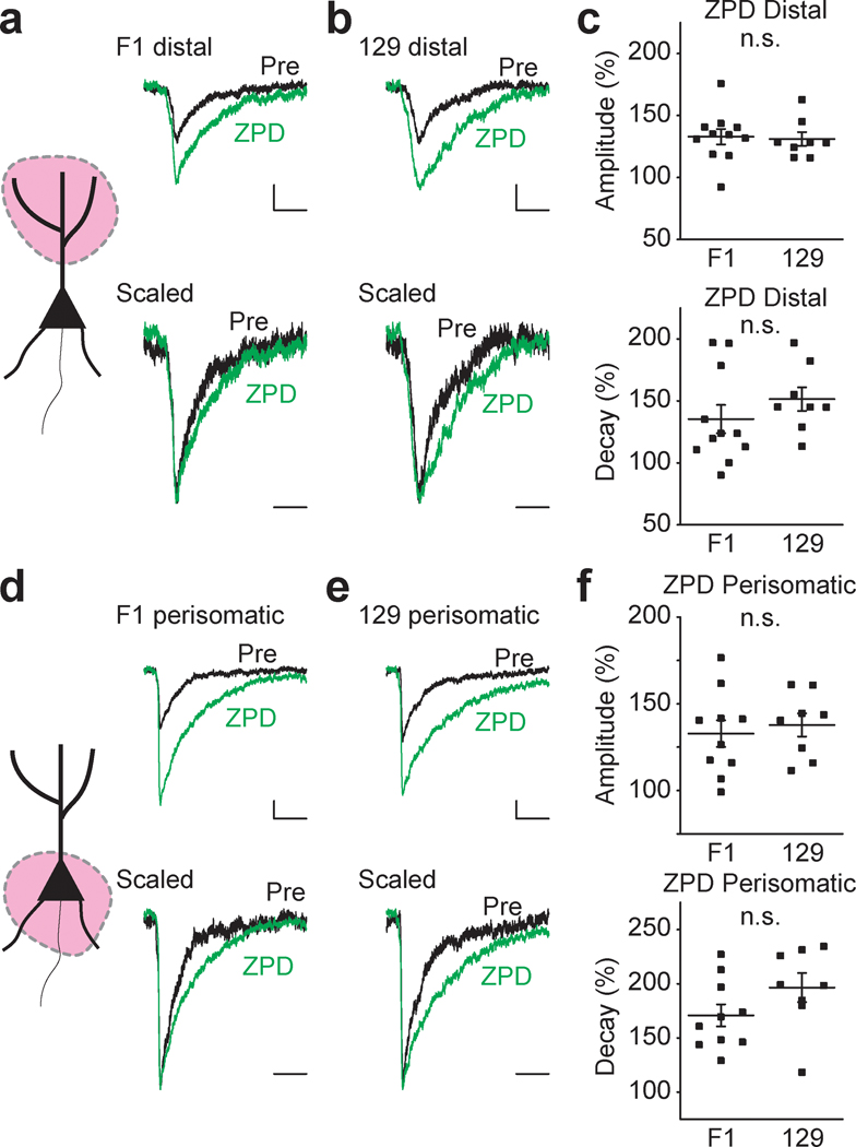 Figure 5 :