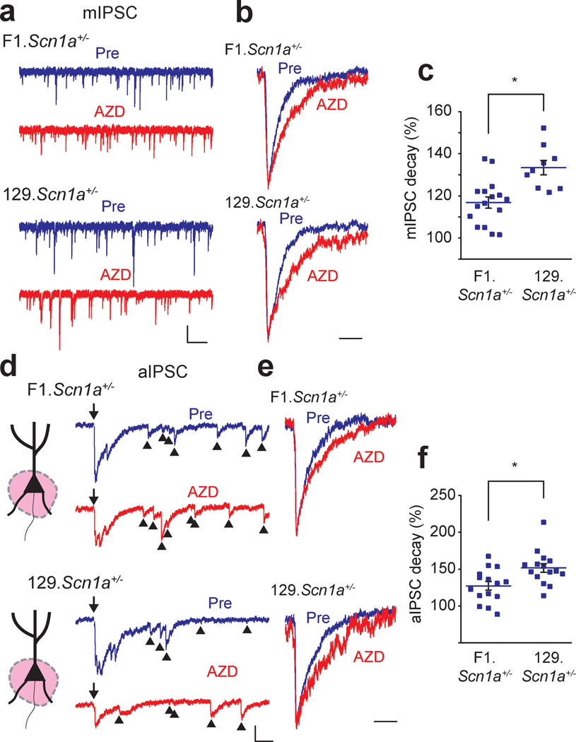 Figure 6: