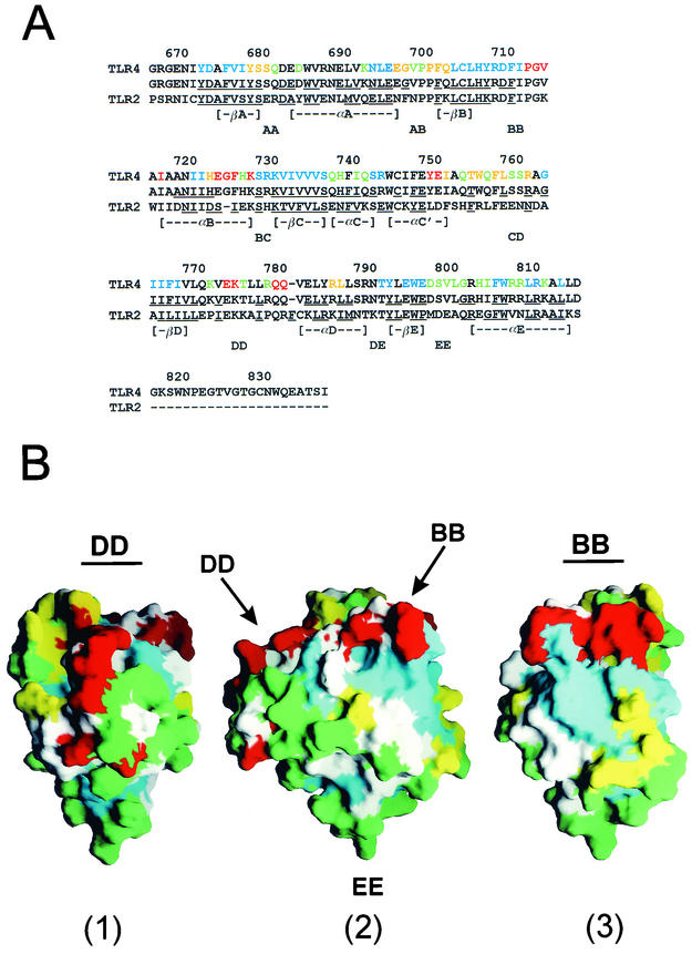 FIG.7.