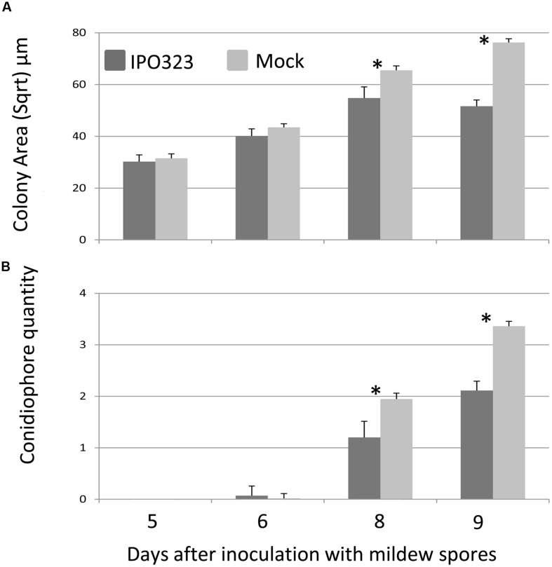 FIGURE 6