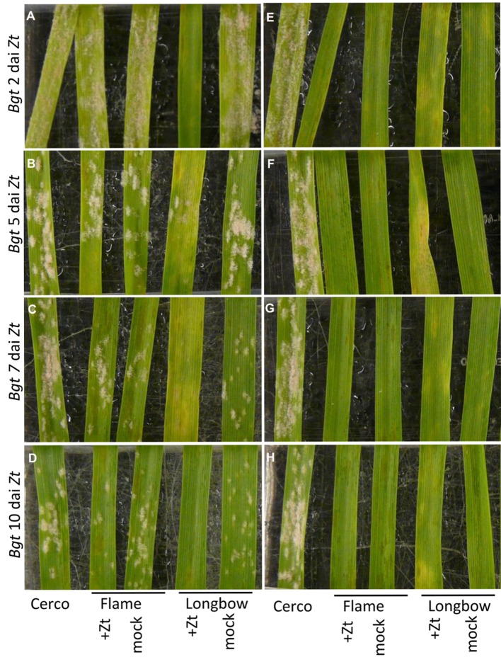 FIGURE 2