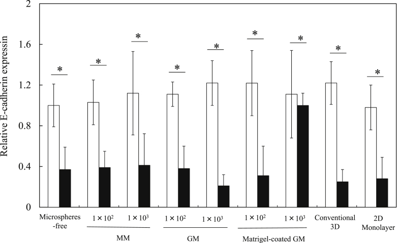 Fig. 10