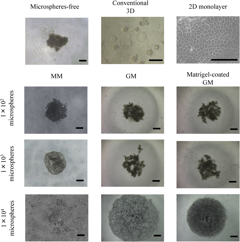 Fig. 3