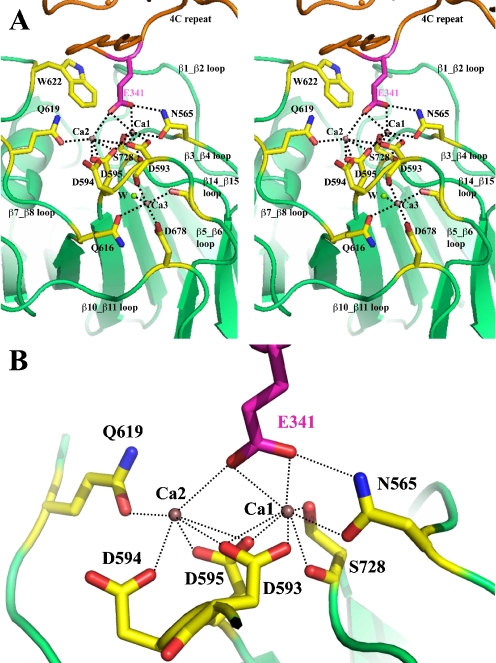 Fig. 4