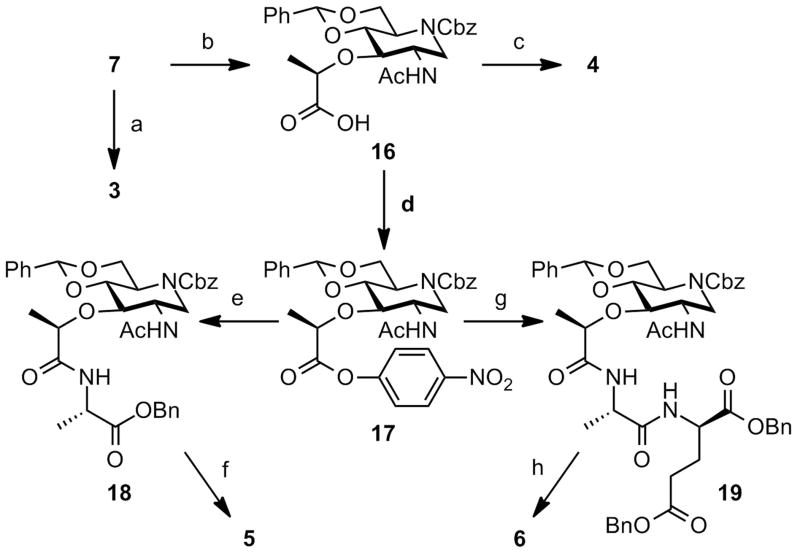 Scheme 2