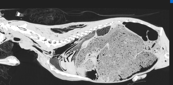 Fig 8