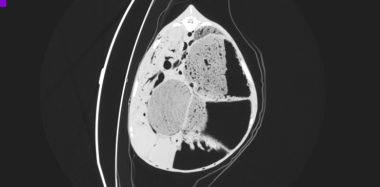 Fig 6