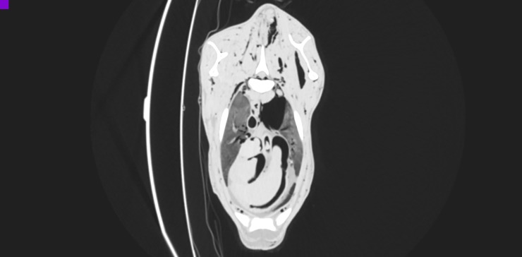 Fig 7