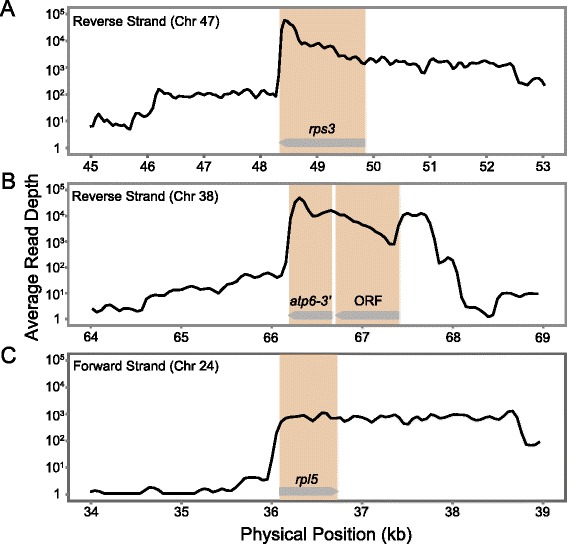 Fig. 2